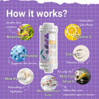 Purple Lavender-4