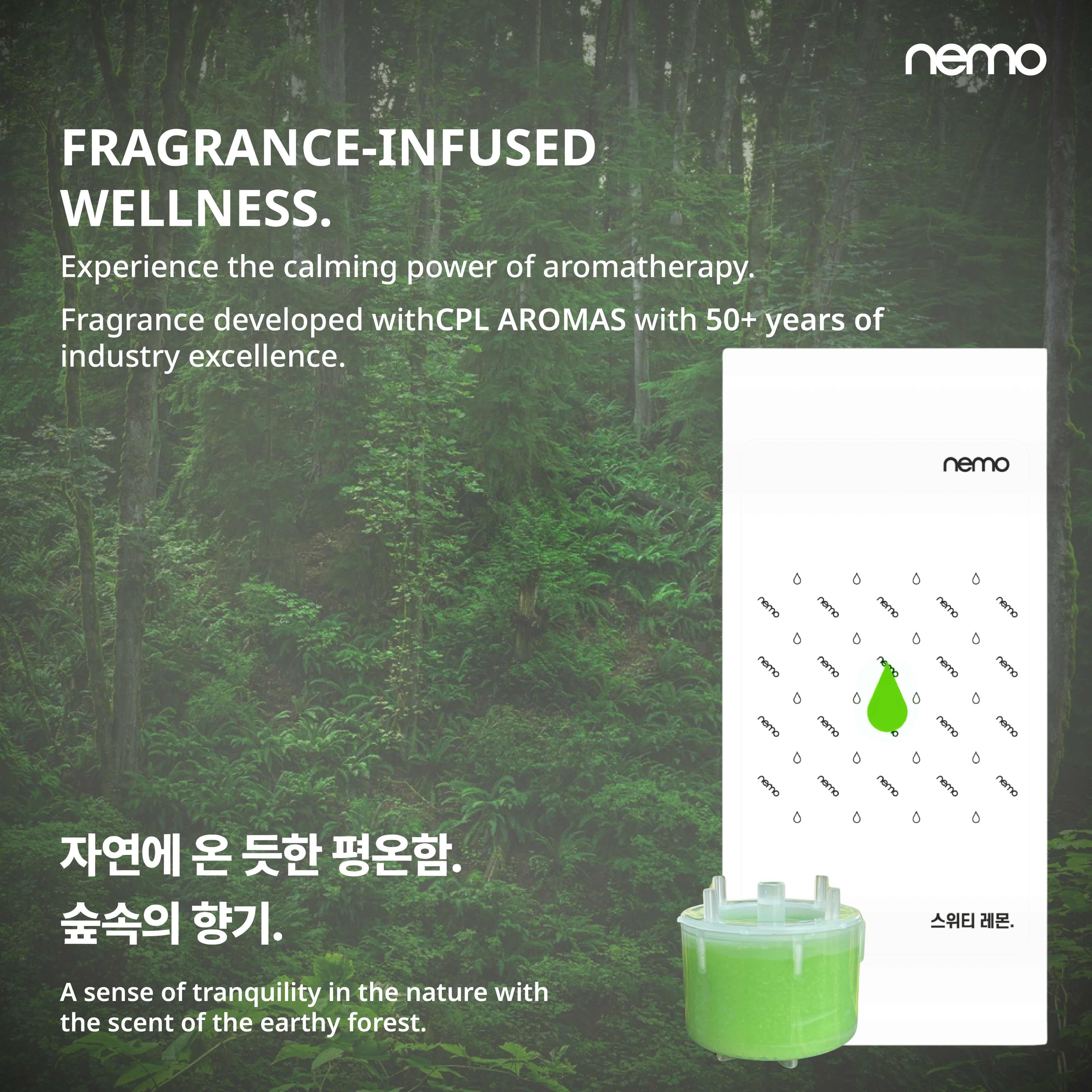 Vita-Refilters (For NEMO Vitamin Hand Shower)