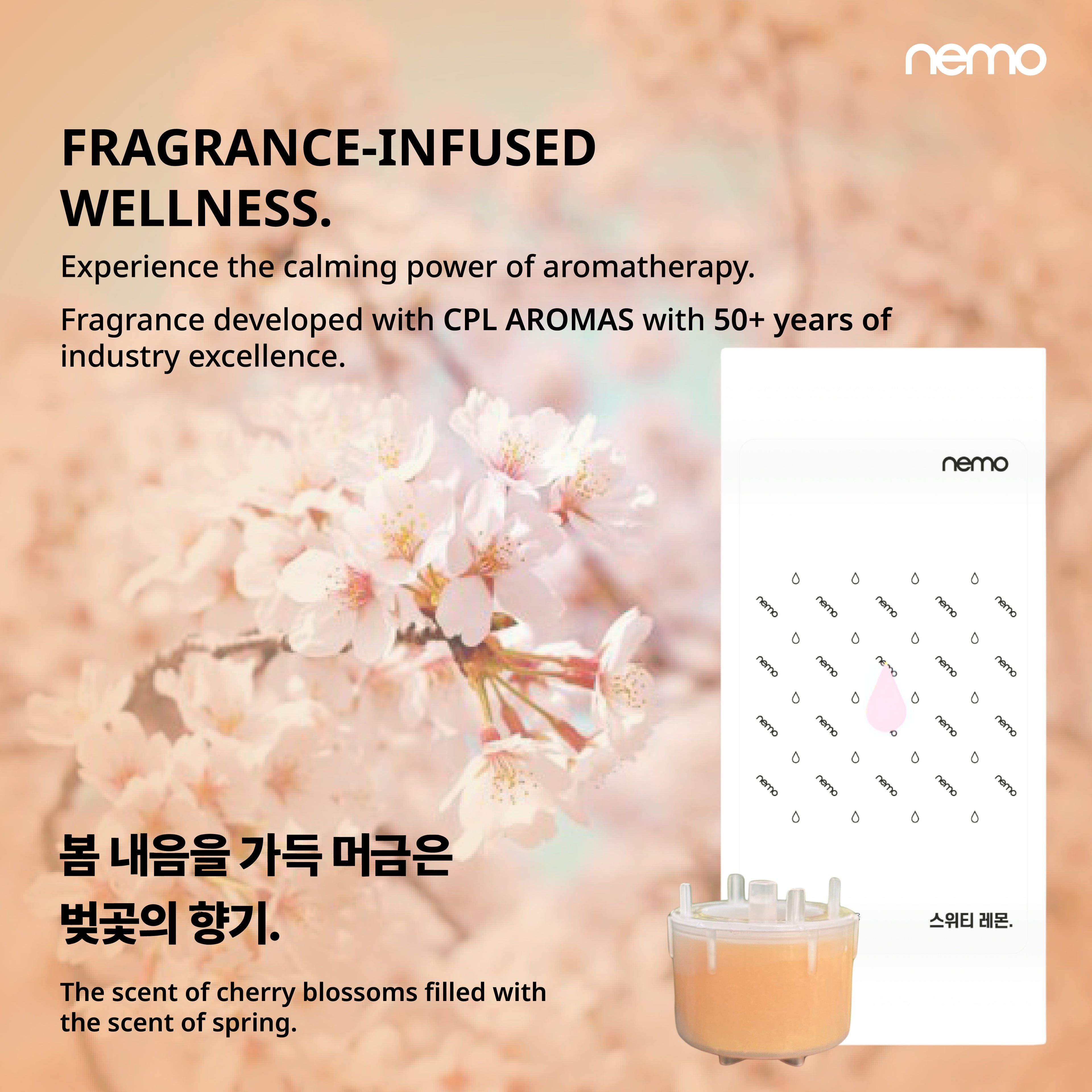 Vita-Refilters (For NEMO Vitamin Hand Shower)