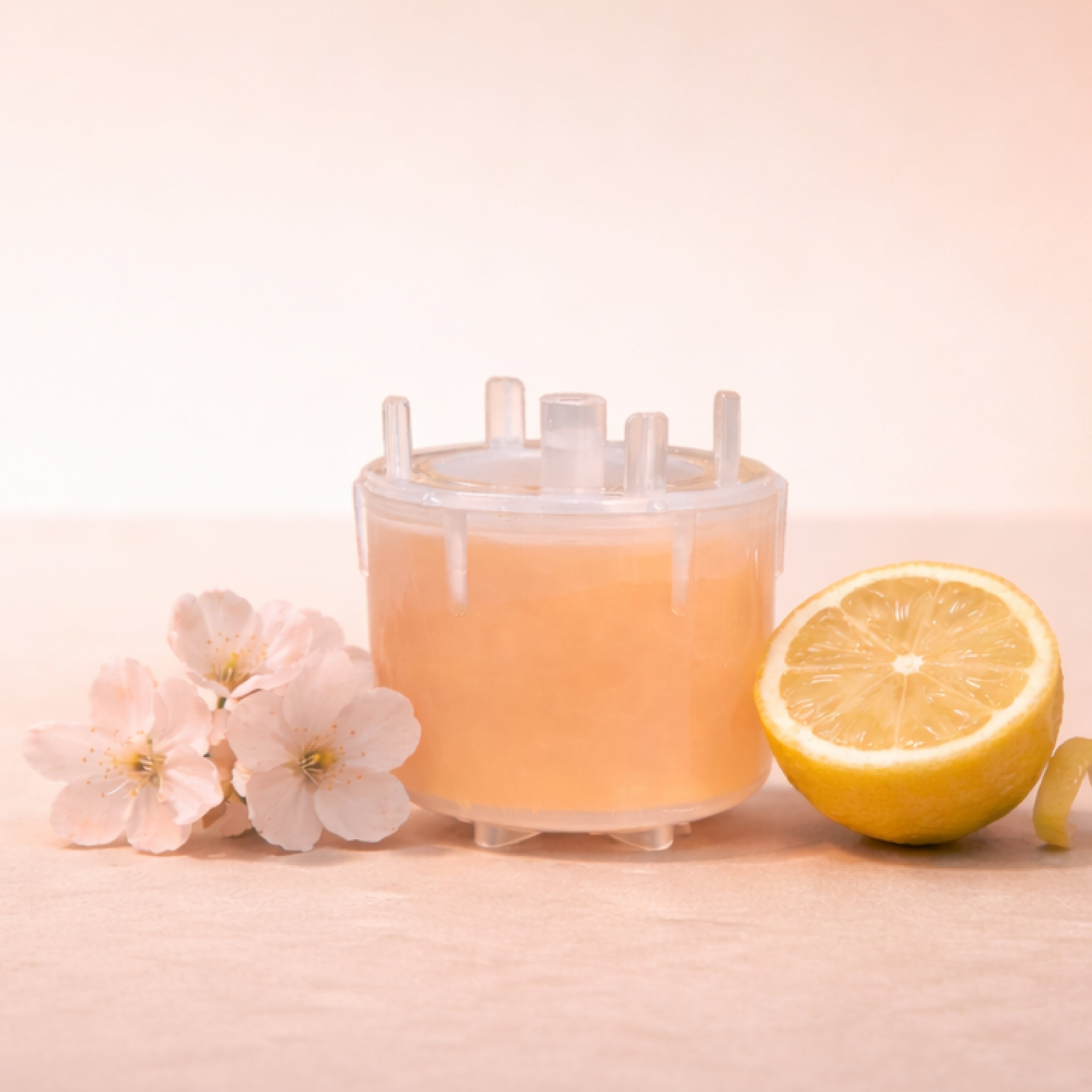 Vita-Refilters (For NEMO Vitamin Hand Shower)